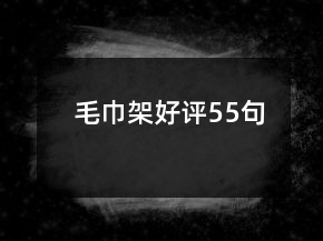 毛巾架好评55句