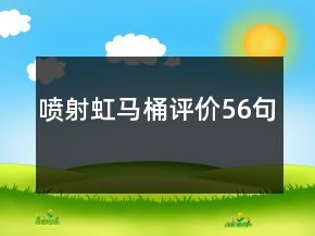 喷射虹马桶评价56句