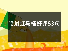 喷射虹马桶好评53句