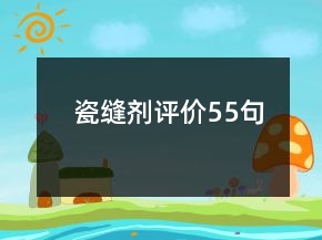瓷缝剂评价55句