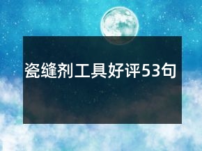 瓷缝剂工具好评53句