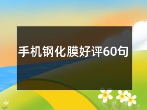 手机钢化膜好评60句