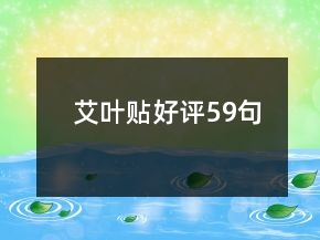 艾叶贴好评59句