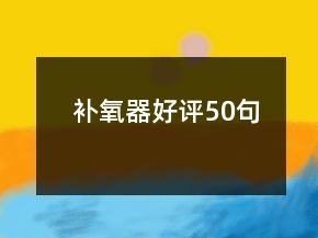 补氧器好评50句