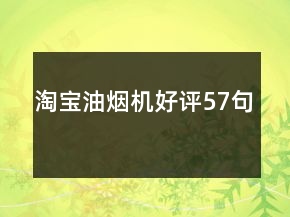 淘宝油烟机好评57句