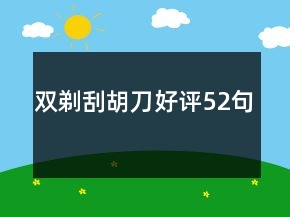 双剃刮胡刀好评52句