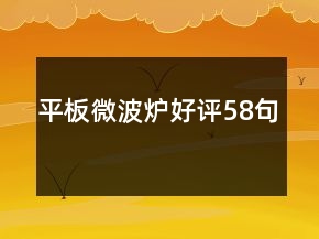 平板微波炉好评58句