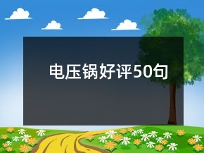 电压锅好评50句