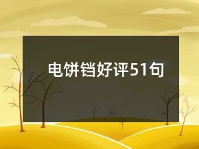 电饼铛好评51句