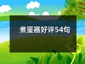 煮蛋器好评54句