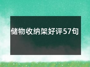 储物收纳架好评57句
