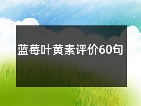蓝莓叶黄素评价60句