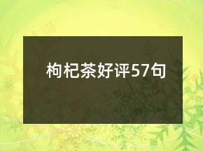 枸杞茶好评57句