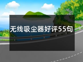 无线吸尘器好评55句