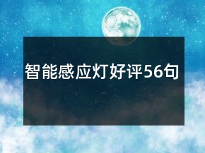 智能感应灯好评56句