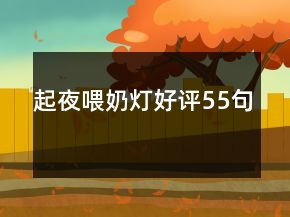 起夜喂奶灯好评55句