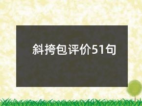 斜挎包评价51句