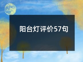 阳台灯评价57句