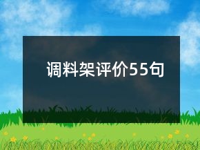 调料架评价55句