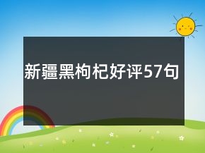 新疆黑枸杞好评57句