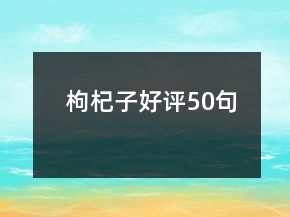 枸杞子好评50句