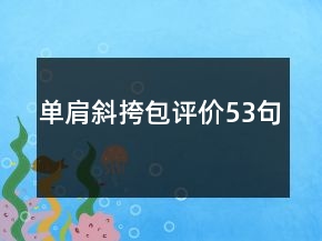 单肩斜挎包评价53句