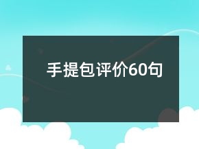 手提包评价60句