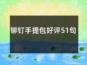 铆钉手提包好评51句