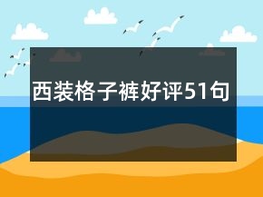 西装格子裤好评51句