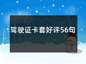 驾驶证卡套好评56句