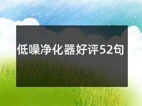 低噪净化器好评52句