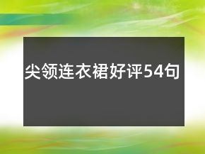 尖领连衣裙好评54句