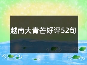 越南大青芒好评52句