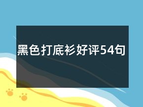 黑色打底衫好评54句