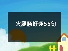 火腿肠好评55句
