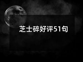 芝士碎好评51句