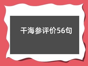 干海参评价56句
