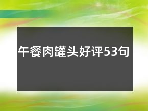 午餐肉罐头好评53句