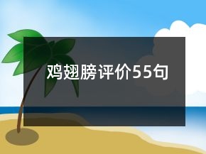 鸡翅膀评价55句