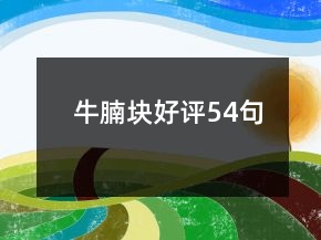 牛腩块好评54句