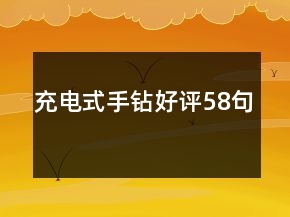 充电式手钻好评58句