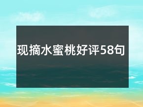 现摘水蜜桃好评58句