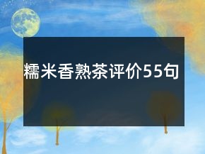糯米香熟茶评价55句