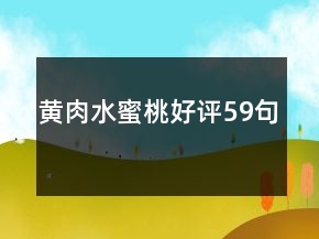 黄肉水蜜桃好评59句