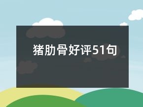 猪肋骨好评51句