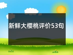 新鲜大樱桃评价53句