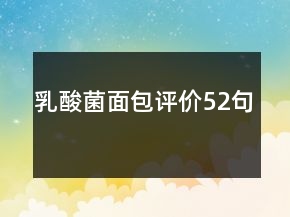乳酸菌面包评价52句