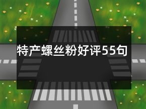 特产螺丝粉好评55句