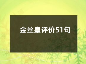 金丝皇评价51句