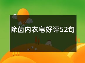 除菌内衣皂好评52句
